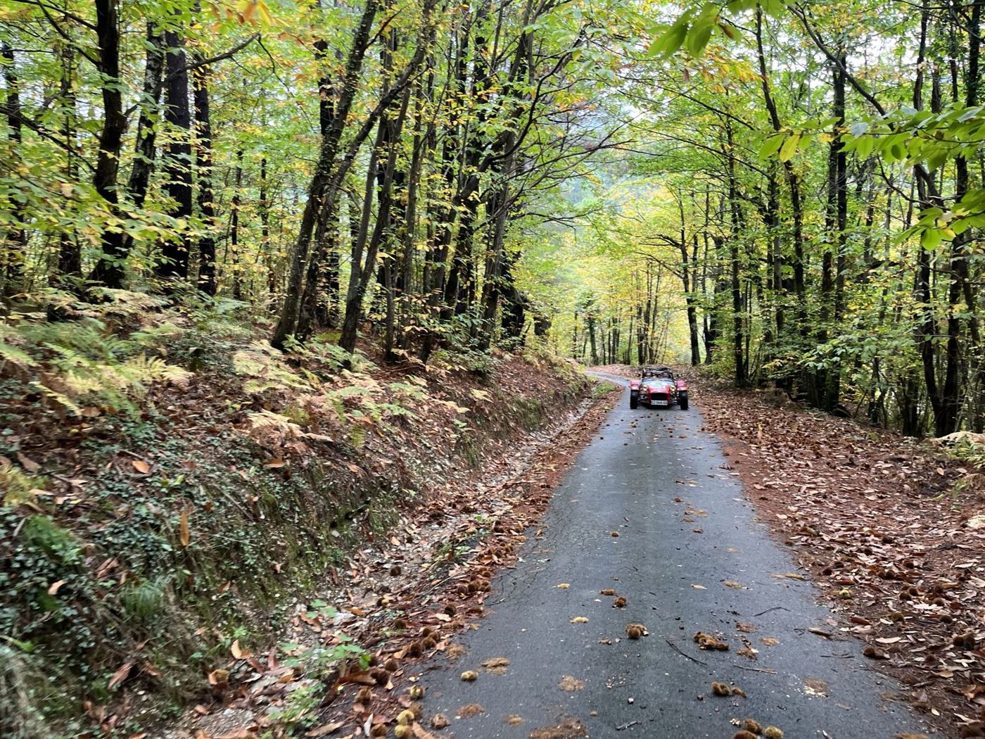 Caterham sur une route forestière